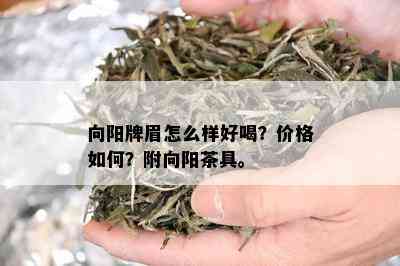 向阳牌眉怎么样好喝？价格如何？附向阳茶具。