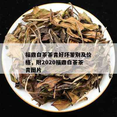 福鼎白茶茶青好坏鉴别及价格，附2020福鼎白茶茶青图片