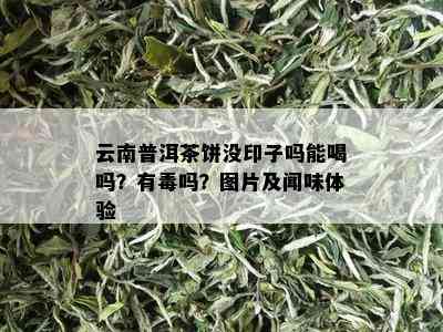 云南普洱茶饼没印子吗能喝吗？有吗？图片及闻味体验