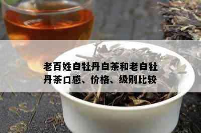 老百姓白牡丹白茶和老白牡丹茶口感、价格、级别比较