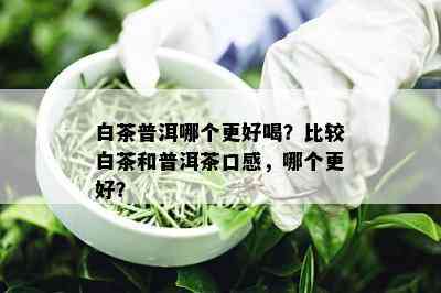 白茶普洱哪个更好喝？比较白茶和普洱茶口感，哪个更好？