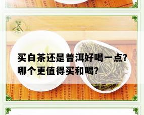 买白茶还是普洱好喝一点？哪个更值得买和喝？