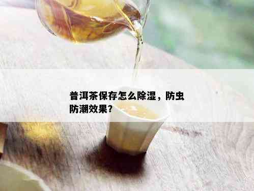 普洱茶保存怎么除湿，防虫防潮效果？