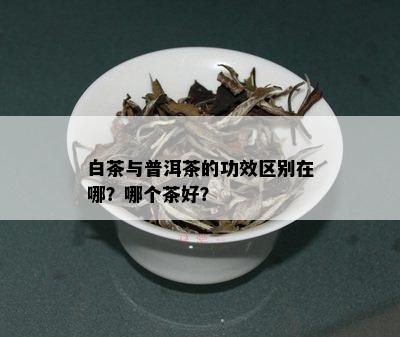 白茶与普洱茶的功效区别在哪？哪个茶好？