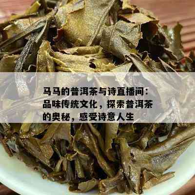 马马的普洱茶与诗直播间：品味传统文化，探索普洱茶的奥秘，感受诗意人生