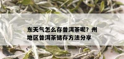 东天气怎么存普洱茶呢？州地区普洱茶储存方法分享