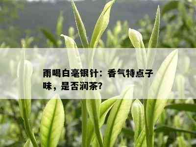 雨喝白毫银针：香气特点子味，是否润茶？