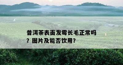 普洱茶表面发霉长毛正常吗？图片及能否饮用？