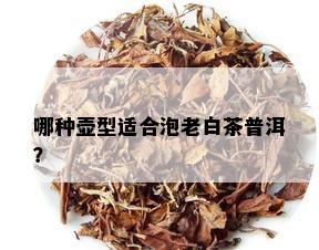 哪种壶型适合泡老白茶普洱？