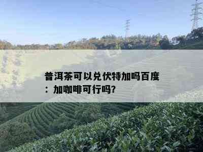 普洱茶可以兑伏特加吗百度：加咖啡可行吗？