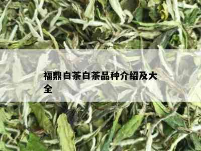 福鼎白茶白茶品种介绍及大全