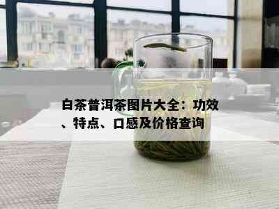 白茶普洱茶图片大全：功效、特点、口感及价格查询