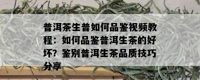 普洱茶生普如何品鉴视频教程：如何品鉴普洱生茶的好坏？鉴别普洱生茶品质技巧分享