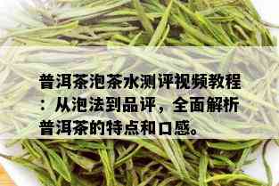 普洱茶泡茶水测评视频教程：从泡法到品评，全面解析普洱茶的特点和口感。