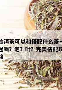 普洱茶可以和搭配什么茶一起喝？泡？叶？完美搭配攻略