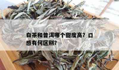 白茶和普洱哪个甜度高？口感有何区别？