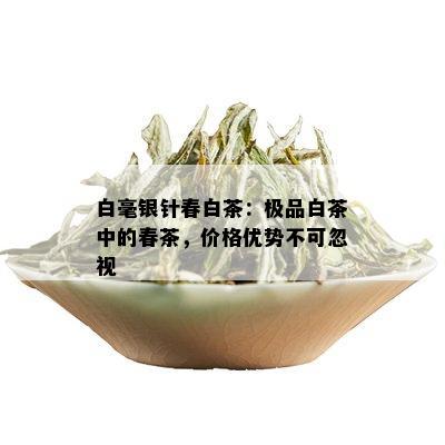 白毫银针春白茶：极品白茶中的春茶，价格优势不可忽视