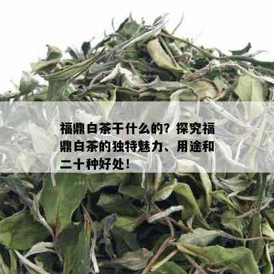 福鼎白茶干什么的？探究福鼎白茶的独特魅力、用途和二十种好处！