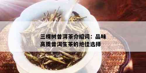 三棵树普洱茶介绍词：品味高质普洱生茶的绝佳选择