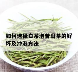 如何选择白茶泡普洱茶的好坏及冲泡方法