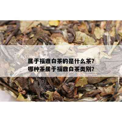 属于福鼎白茶的是什么茶？哪种茶属于福鼎白茶类别？