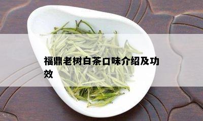 福鼎老树白茶口味介绍及功效