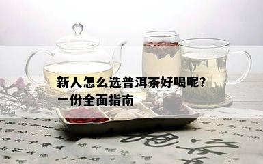 新人怎么选普洱茶好喝呢？一份全面指南