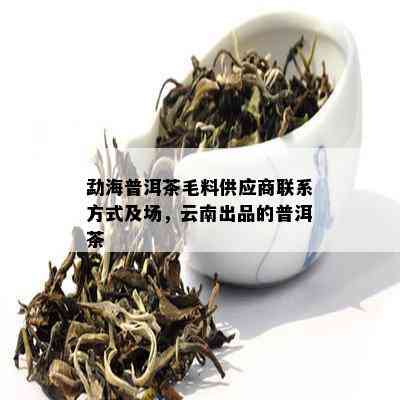 勐海普洱茶毛料供应商联系方式及场，云南出品的普洱茶