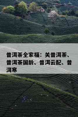 普洱茶全家福：关普洱茶、普洱茶国龄、普洱云配、普洱寒