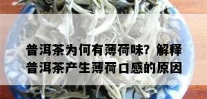 普洱茶为何有薄荷味？解释普洱茶产生薄荷口感的原因