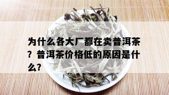 为什么各大厂都在卖普洱茶？普洱茶价格低的原因是什么？