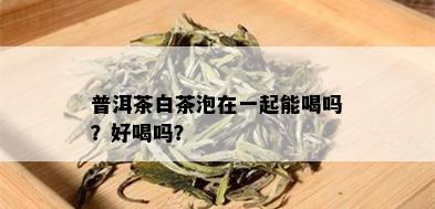 普洱茶白茶泡在一起能喝吗？好喝吗？