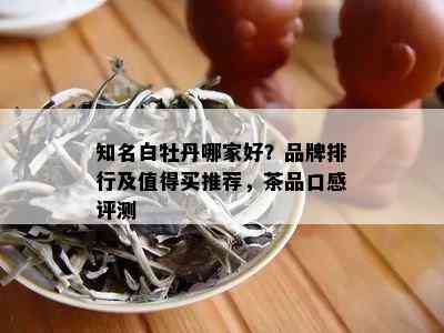 知名白牡丹哪家好？品牌排行及值得买推荐，茶品口感评测