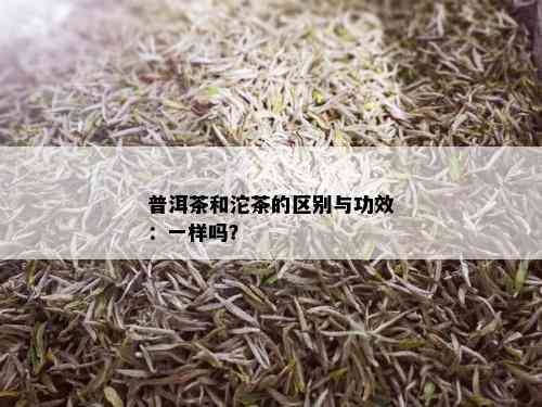 普洱茶和沱茶的区别与功效：一样吗？