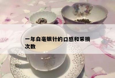 一年白毫银针的口感和采摘次数