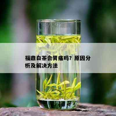 福鼎白茶会胃痛吗？原因分析及解决方法