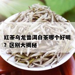 红茶乌龙普洱白茶哪个好喝？区别大揭秘