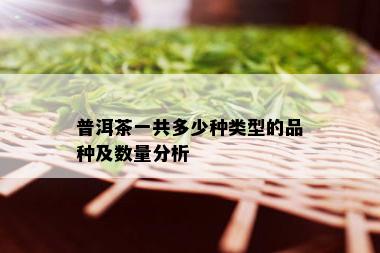 普洱茶一共多少种类型的品种及数量分析