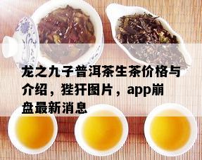 龙之九子普洱茶生茶价格与介绍，狴犴图片，app崩盘最新消息