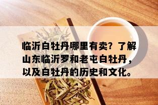 临沂白牡丹哪里有卖？了解山东临沂罗和老屯白牡丹，以及白牡丹的历史和文化。