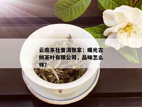 云南茶社普洱世家：曝光古树茶叶有限公司，品味怎么样？