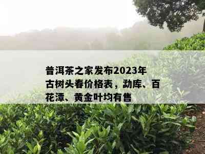 普洱茶之家发布2023年古树头春价格表，勐库、百花潭、黄金叶均有售