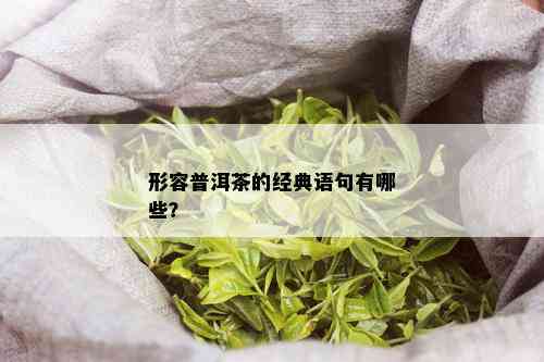 形容普洱茶的经典语句有哪些？