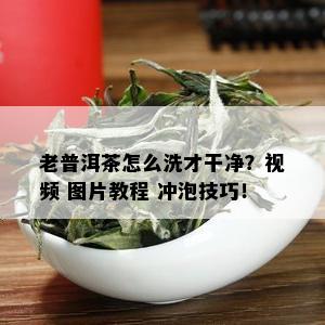 老普洱茶怎么洗才干净？视频 图片教程 冲泡技巧！