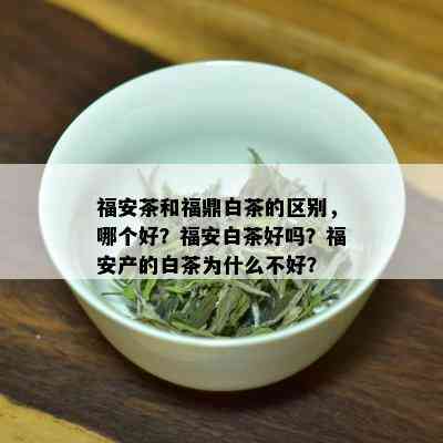 福安茶和福鼎白茶的区别，哪个好？福安白茶好吗？福安产的白茶为什么不好？