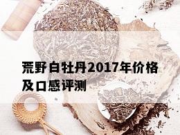 荒野白牡丹2017年价格及口感评测