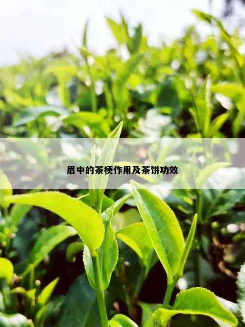 眉中的茶梗作用及茶饼功效