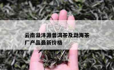 云南溢沣源普洱茶及勐海茶厂产品最新价格