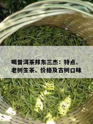 喝普洱茶邦东三杰：特点、老树生茶、价格及古树口味