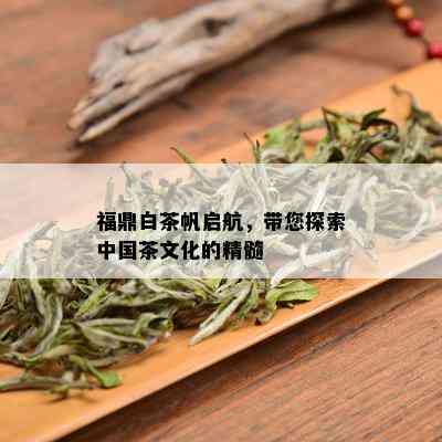 福鼎白茶帆启航，带您探索中国茶文化的精髓